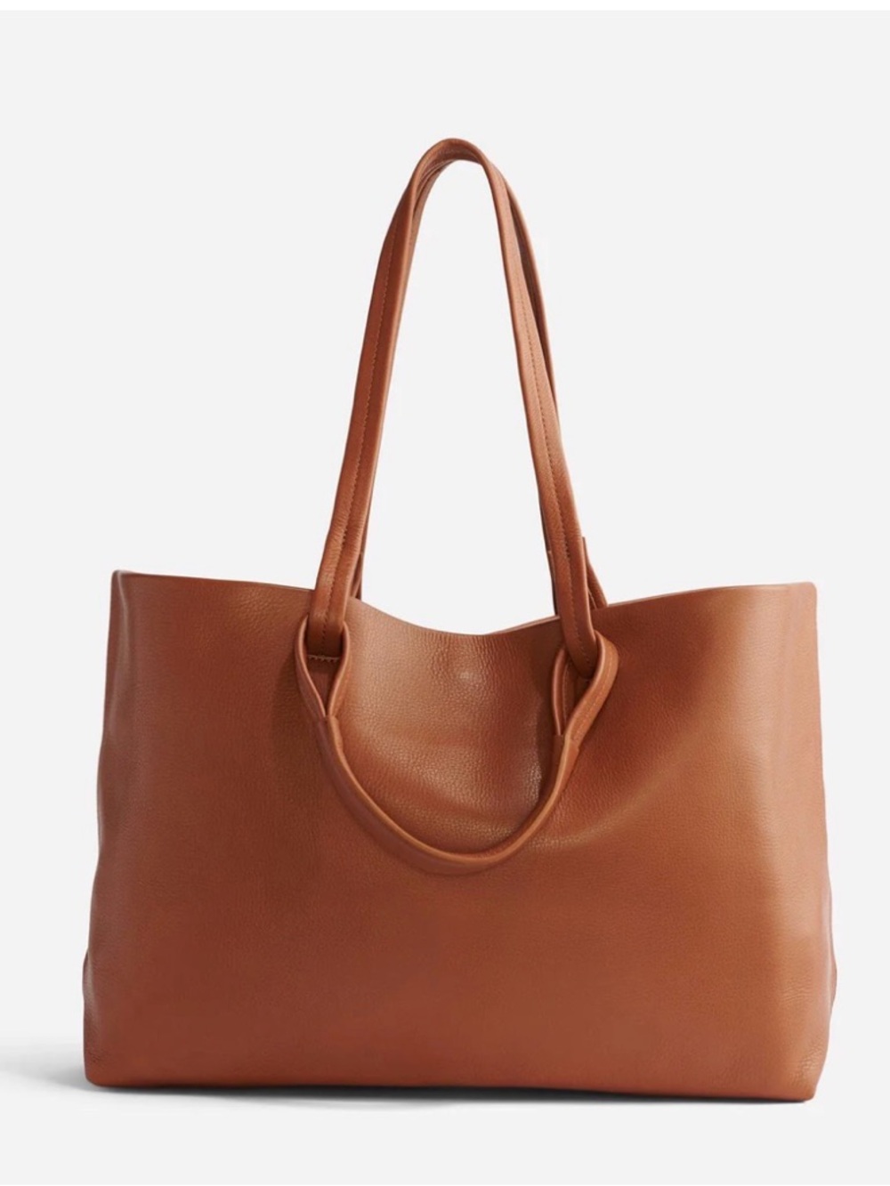 Nisolo Camilia Everyday Tote in Plum